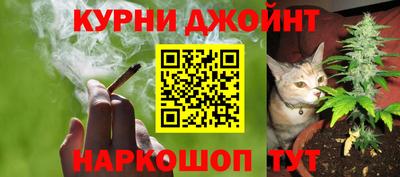 альфа пвп Новокубанск